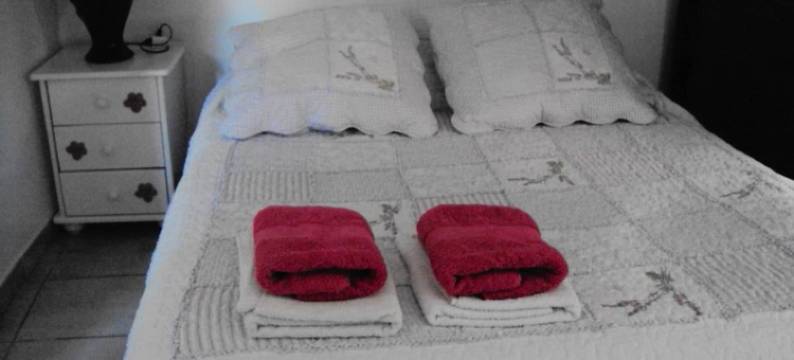 拉多洛尔住宿加早餐旅馆(La Douloire)图片