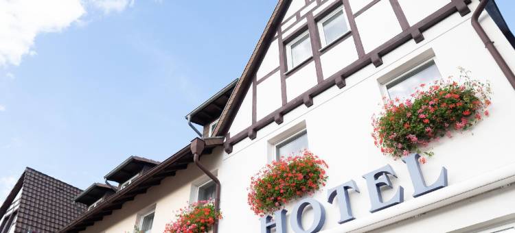 耶格霍夫酒店(Hotel Jägerhof)图片