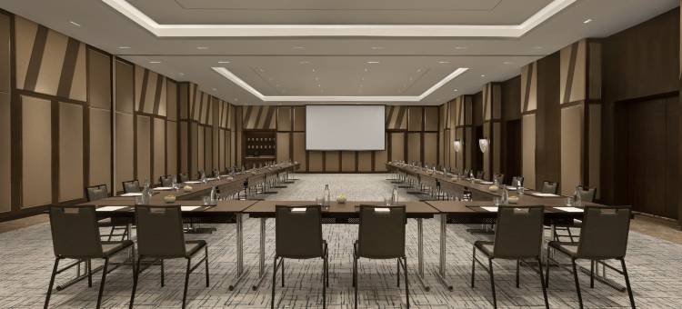 马尼拉威斯汀(The Westin Manila)图片