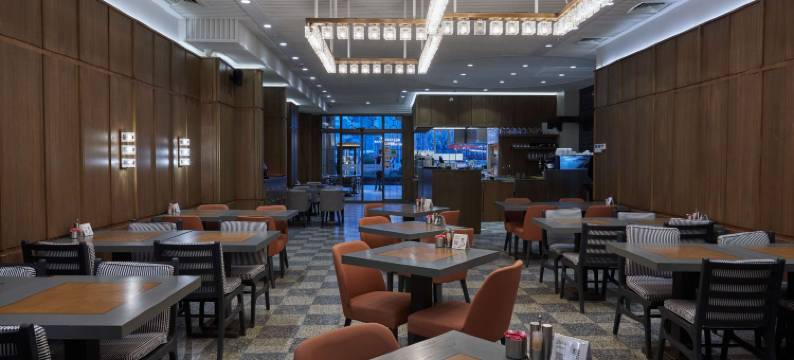 诺瓦维斯塔中心，丽笙精选成员(Nova Vista Centrum Hotel Eskisehir, a Member of Radisson Individuals)图片