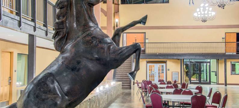 拉伯克市南戴斯酒店(Days Inn by Wyndham Lubbock South)图片