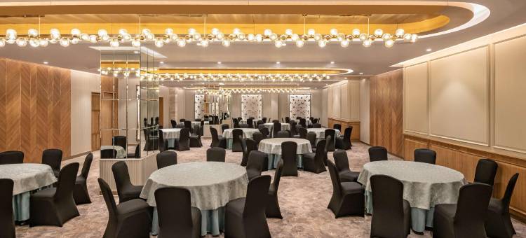 古尔冈29区丽怡酒店及套房(Radisson Hotel Sector 29 Gurugram)图片