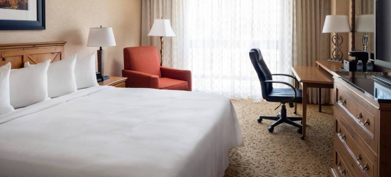 丹佛西万豪酒店(Denver Marriott West)图片