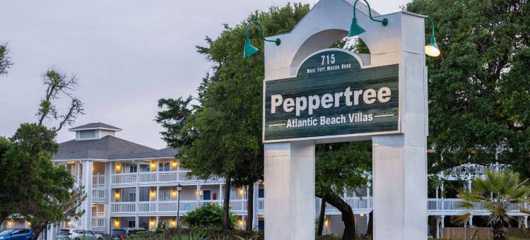 大西洋海滩温德姆华美达度假酒店(Atlantic Beach Resort, a Ramada by Wyndham)图片