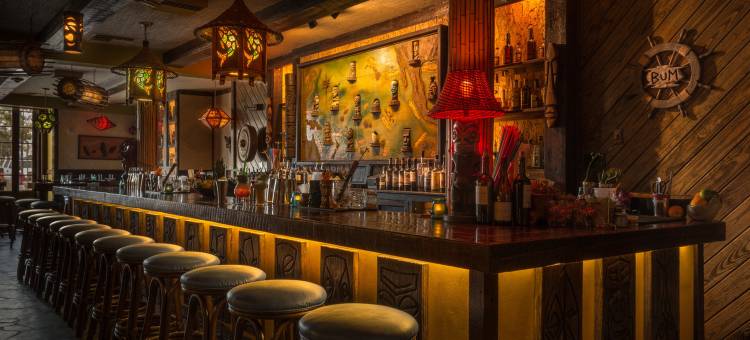 比恩维尔之家酒店(Bienville House Hotel New Orleans)图片