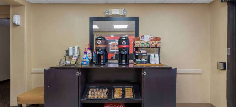 美洲长住套房酒店 - 布法罗 - 阿默斯特(Extended Stay America Suites - Buffalo - Amherst)图片