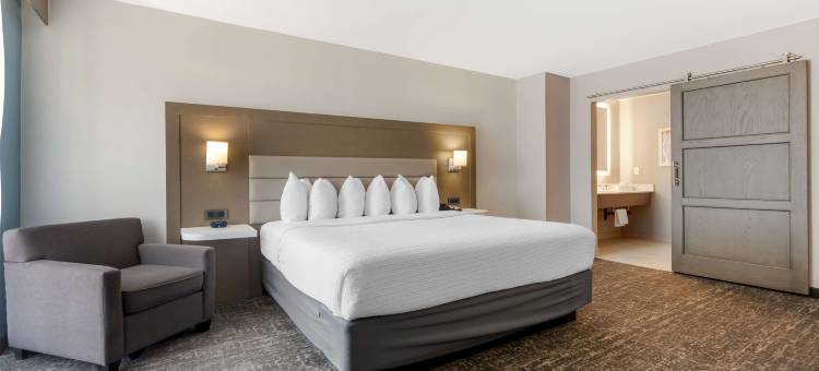 贝斯特韦斯特优质斯帕克斯雷诺优质酒店(Best Western Plus Sparks-Reno Hotel)图片