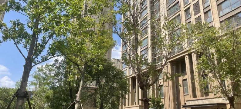 糖果豆豆2公寓(清河西路1号分店)图片