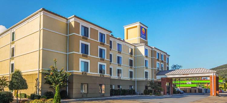 查塔努加西舒适套房酒店 - 瞭望山(Comfort Inn & Suites Chattanooga West - Lookout Mountain)图片