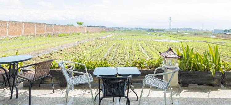 红多兹Plus酒店-近玛琅机场(RedDoorz Plus Near Malang Airport)图片