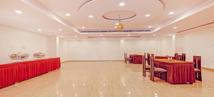 Treebo Silver Stallion图片