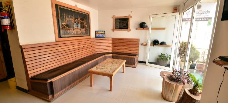 阿尔伍德兰兹住宅酒店(Al Woodlands Residency)图片