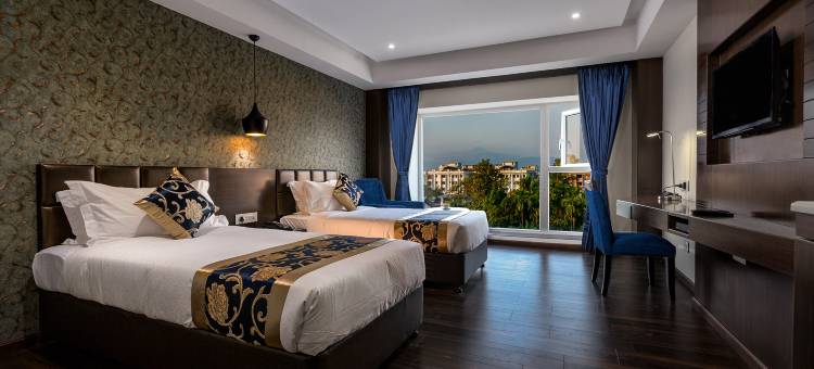 藏红花冠酒店(Hotel Saffron Crest)图片