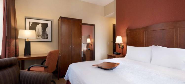 曼哈顿/下城区金融中心希尔顿欢朋酒店(Hampton Inn Manhattan/Downtown-Financal District)图片