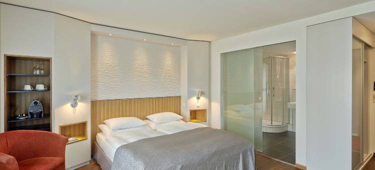 鲁特利索雷尔酒店(Hotel Rutli)图片