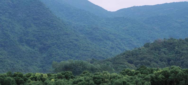 望桐露营地(梧桐山风景店)图片