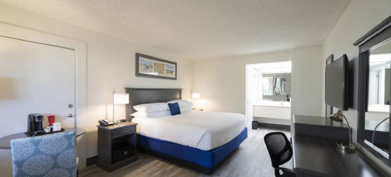 华尔顿海滩岛度假村(The Island Resort at Fort Walton Beach)图片