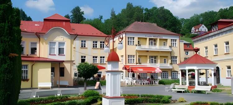 利比维达 Spa 度假村 - 诺维杜姆(Spa Resort Libverda - Hotel Nový Dům)图片