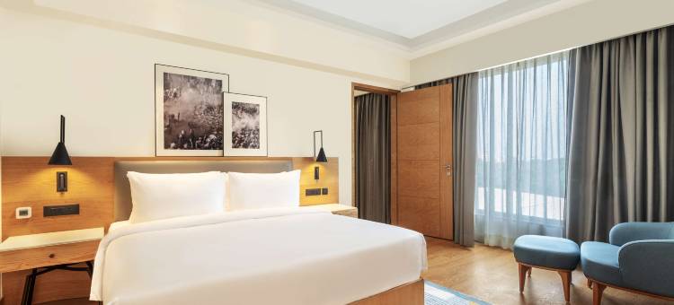 丽笙酒店弗林达文(Radisson Hotel Vrindavan)图片