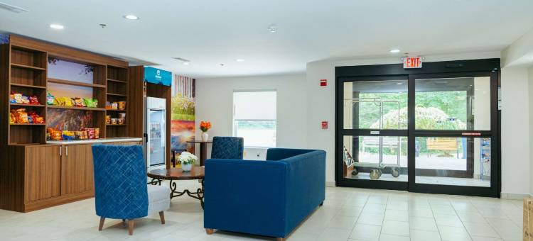 迪拉德克拉丽奥波恩特酒店 - 近蓝岭山脉(Clarion Pointe-Dillard Near Blue Ridge Mountains)图片