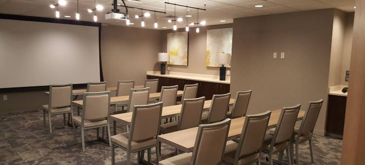 勘萨斯城机场希尔顿花园酒店(Hilton Garden Inn Kansas City Airport)图片