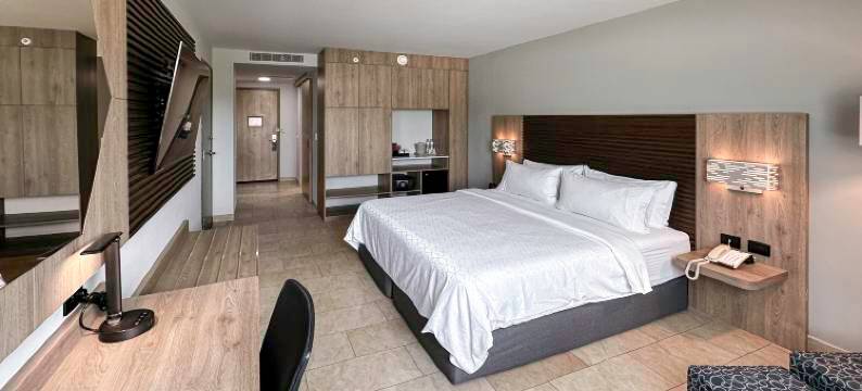 梅尼达智选假日酒店(Holiday Inn Express MERIDA by IHG)图片