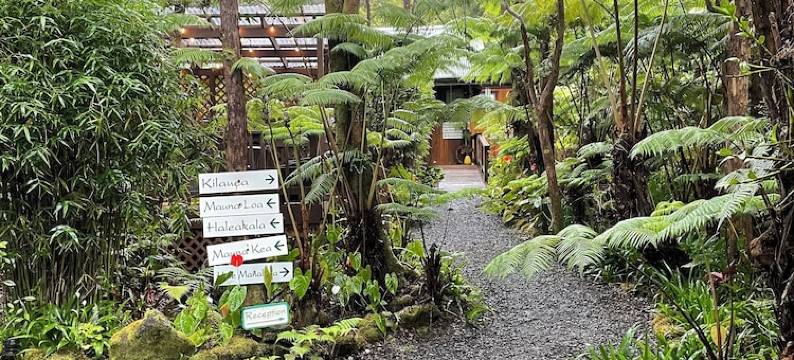 火山村庄旅馆(Volcano Village Lodge)图片