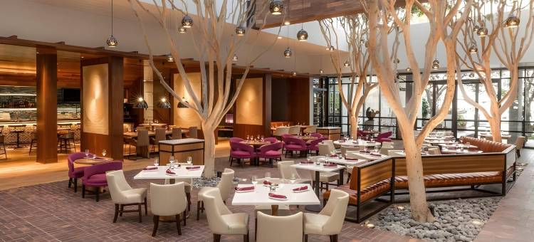 波托拉水疗酒店(Portola Hotel & Spa)图片