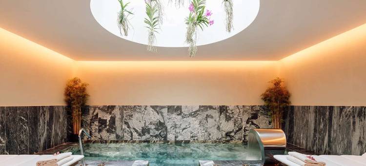 阿努奇亚达宫殿一号酒店(The One Palácio da Anunciada)图片