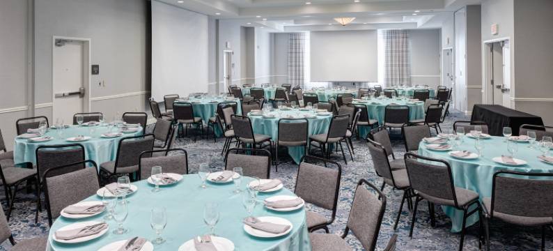 弗赖拉辛达拉斯希尔顿花园酒店(Hilton Garden Inn Dallas Frisco)图片