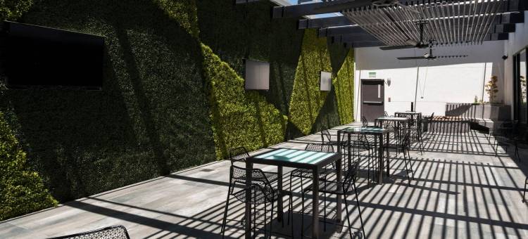 华雷斯城万怡酒店(Courtyard Ciudad Juarez)图片