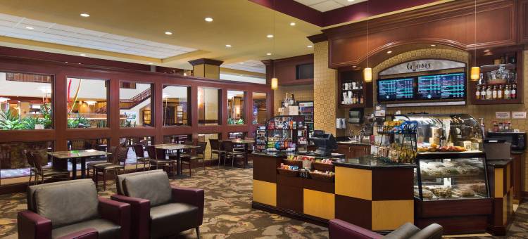 夏洛特康柯德高尔夫度假村及水疗中心希尔顿安泊酒店(Embassy Suites by Hilton Charlotte Concord Golf Resort & Spa)图片