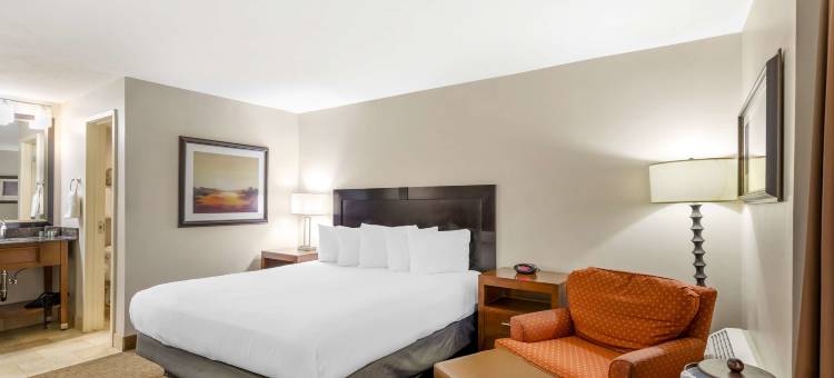 木棉树贝斯特韦斯特酒店(Best Western CottonTree Inn)图片