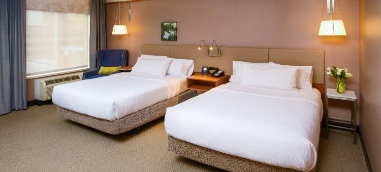 罗切斯特市区希尔顿花园酒店(Hilton Garden Inn Rochester Downtown)图片