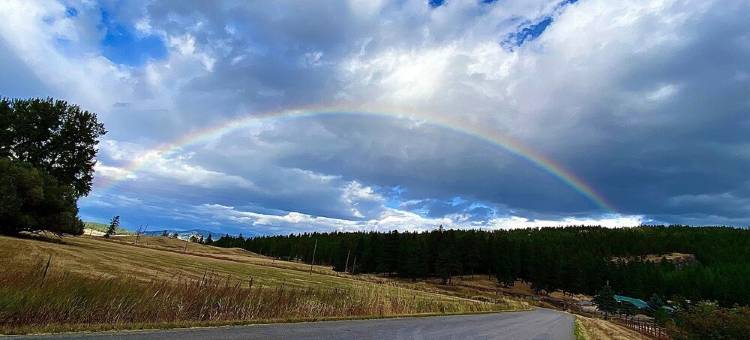 蒙大拿州西北部林地宁静放松温馨木屋 11月特惠!(Cozy Cabin in the Woods of NW Montana, Peaceful & Relaxing! November SPECIALS!)图片
