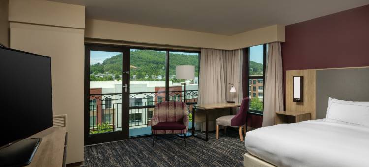 阿什维尔比尔特莫尔公园希尔顿酒店(Hilton Asheville Biltmore Park)图片