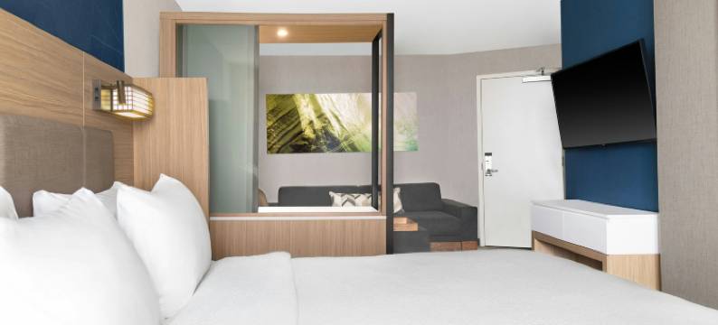 霍兰万豪SpringHill Suites酒店(SpringHill Suites Holland)图片