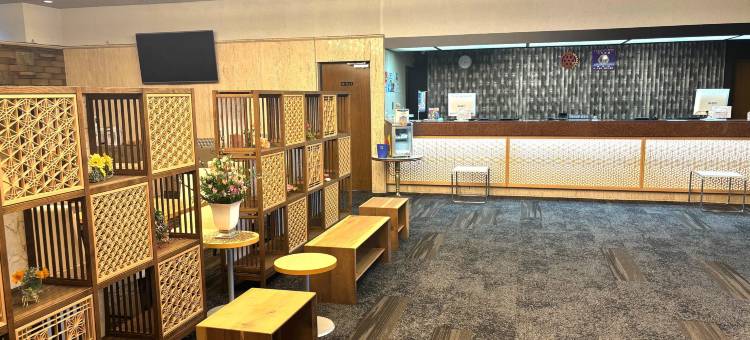 哈马达新城堡酒店(Hamada New Castle Hotel)图片