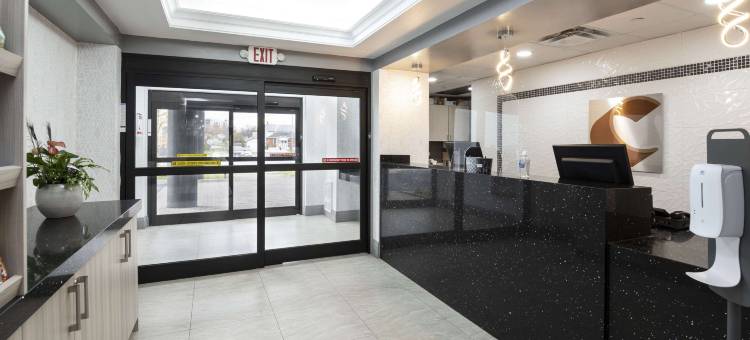 舒适酒店(Comfort Hotel)图片