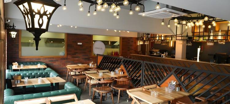 莫汉大陆酒店(Hotel Mohan Continental)图片