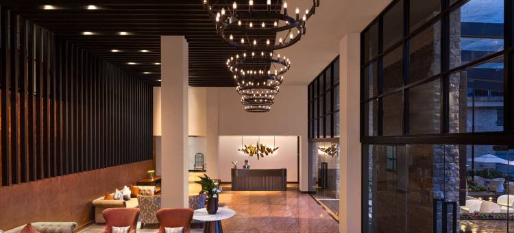 金岭酒店(The Golden Ridge Hotel)图片