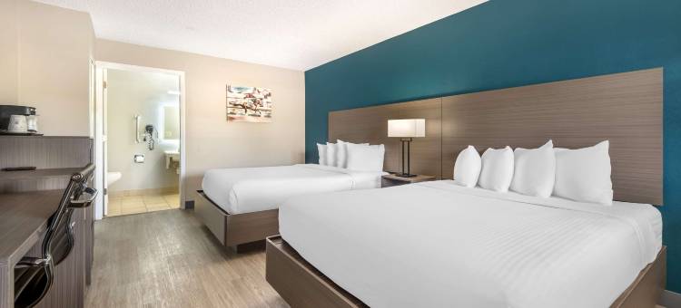 绿树贝斯特韦斯特酒店(Best Western Green Tree Inn)图片