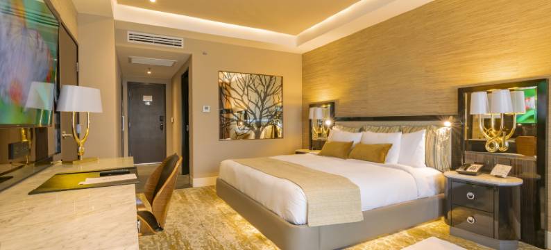 路瑟纳 K 大楼精品酒店(K Tower Boutique Hotel by Lucerna)图片