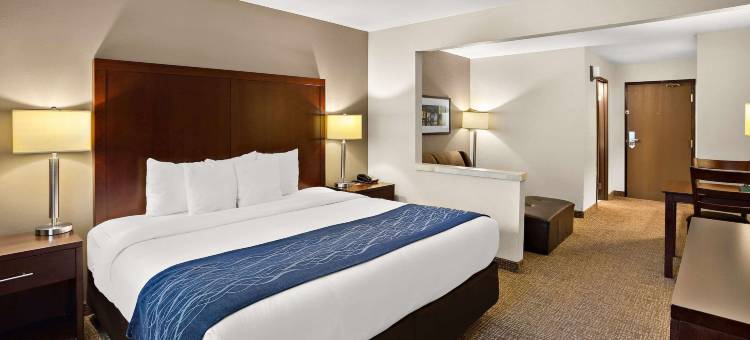莱西舒适酒店(Comfort Inn Lacey - Olympia)图片