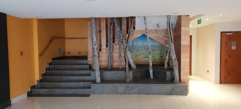 迭戈·德·阿尔马格罗卡斯特罗酒店(Hotel Diego de Almagro Castro)图片