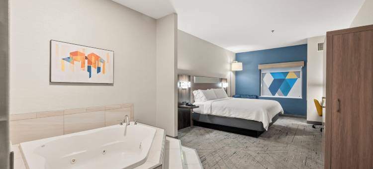 智选假日套房酒店林肯罗斯维尔地区(Holiday Inn Express & Suites Lincoln-Roseville Area)图片