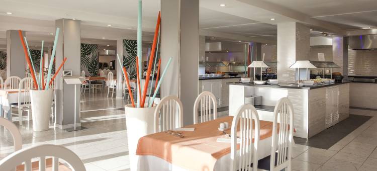 棕榈园出租公寓 - LIVVO 酒店(Apartamentos Palm Garden by LIVVO)图片