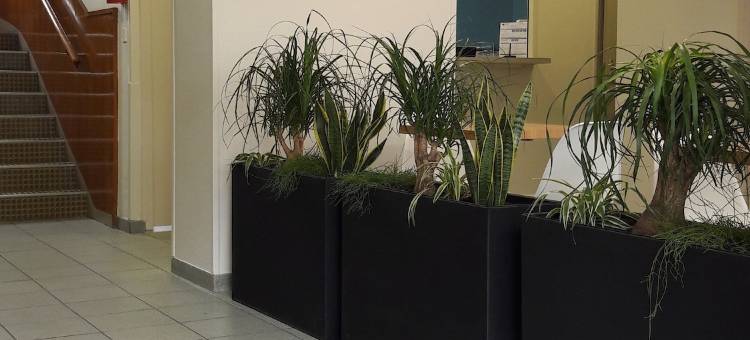 柯希公寓酒店 - 科锡库尔莫罗公寓酒店(Kosy Appart'Hôtels - le Cours Moreau)图片