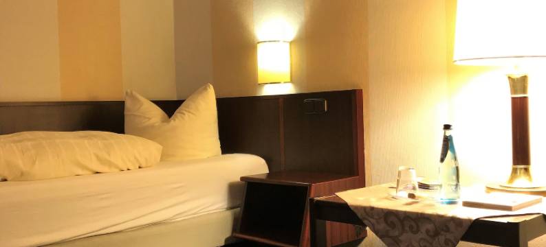 塞纳图酒店(Hotel Senator)图片