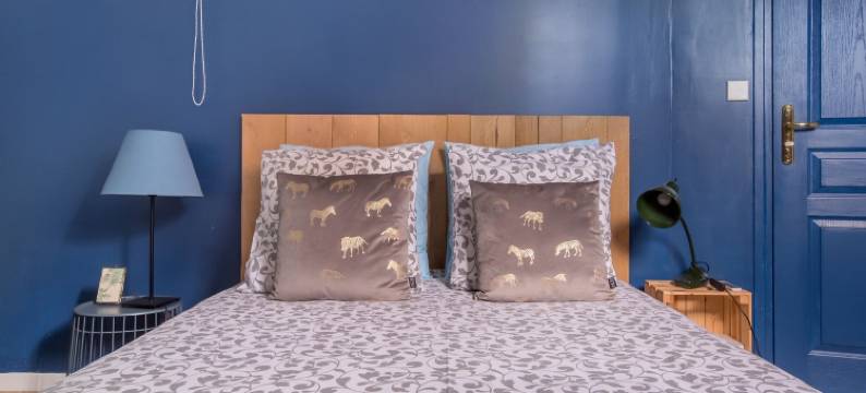 信鸽酒店(Le Pigeonnier, Maison d'hôtes et Spa)图片